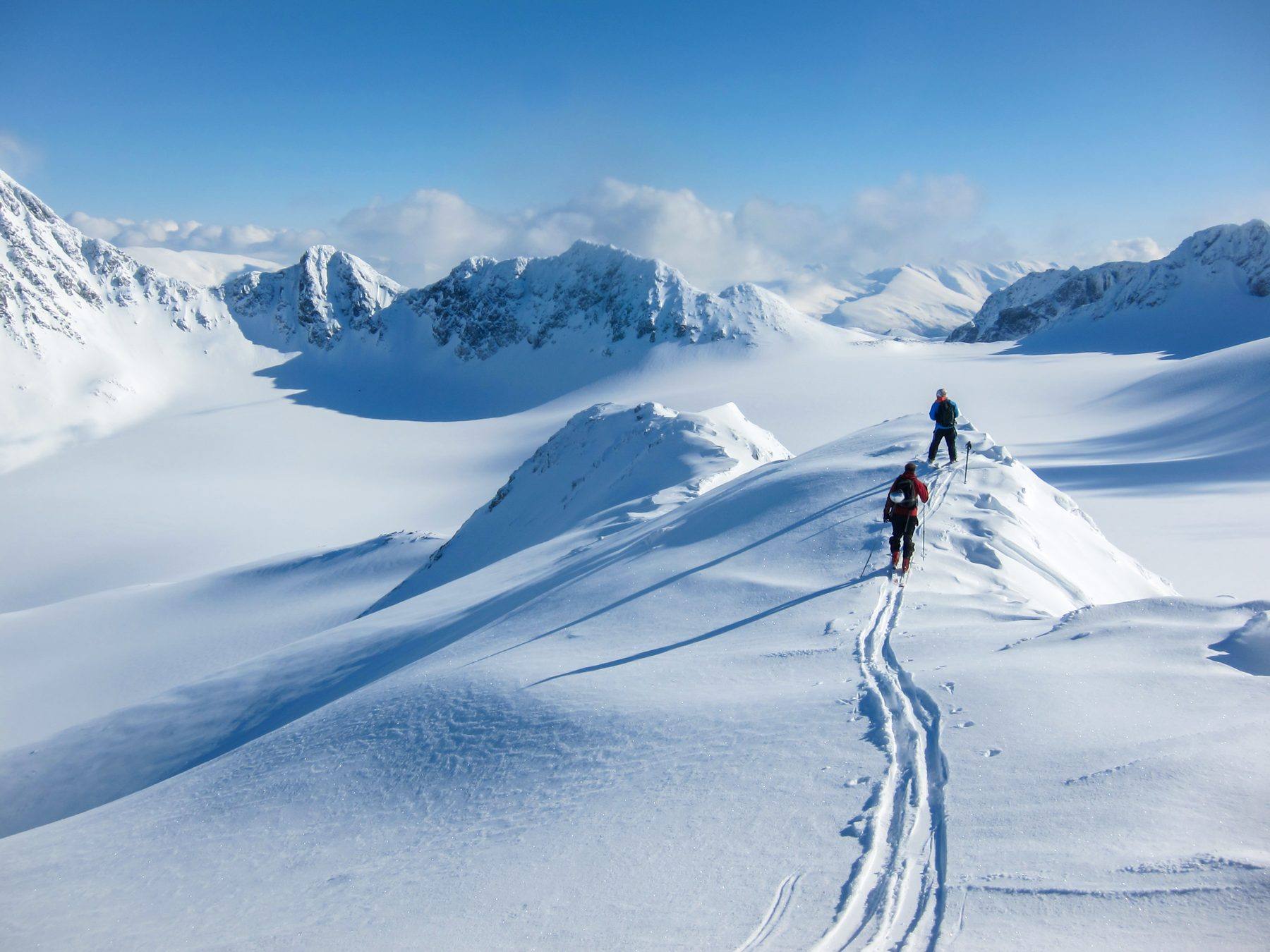 Ski touring group traversing a ridge above a Lyngen fjord