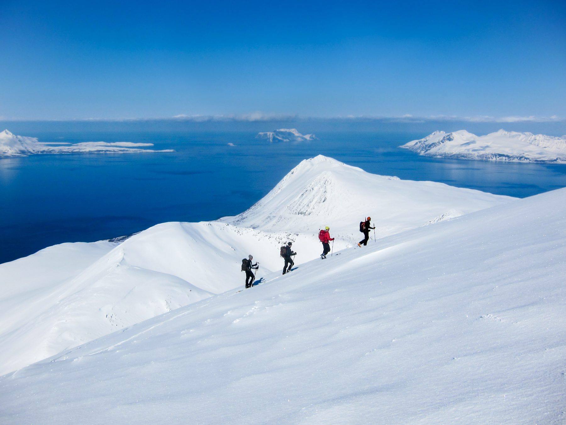 Skiers descending toward the fjord, Lyngen Alps